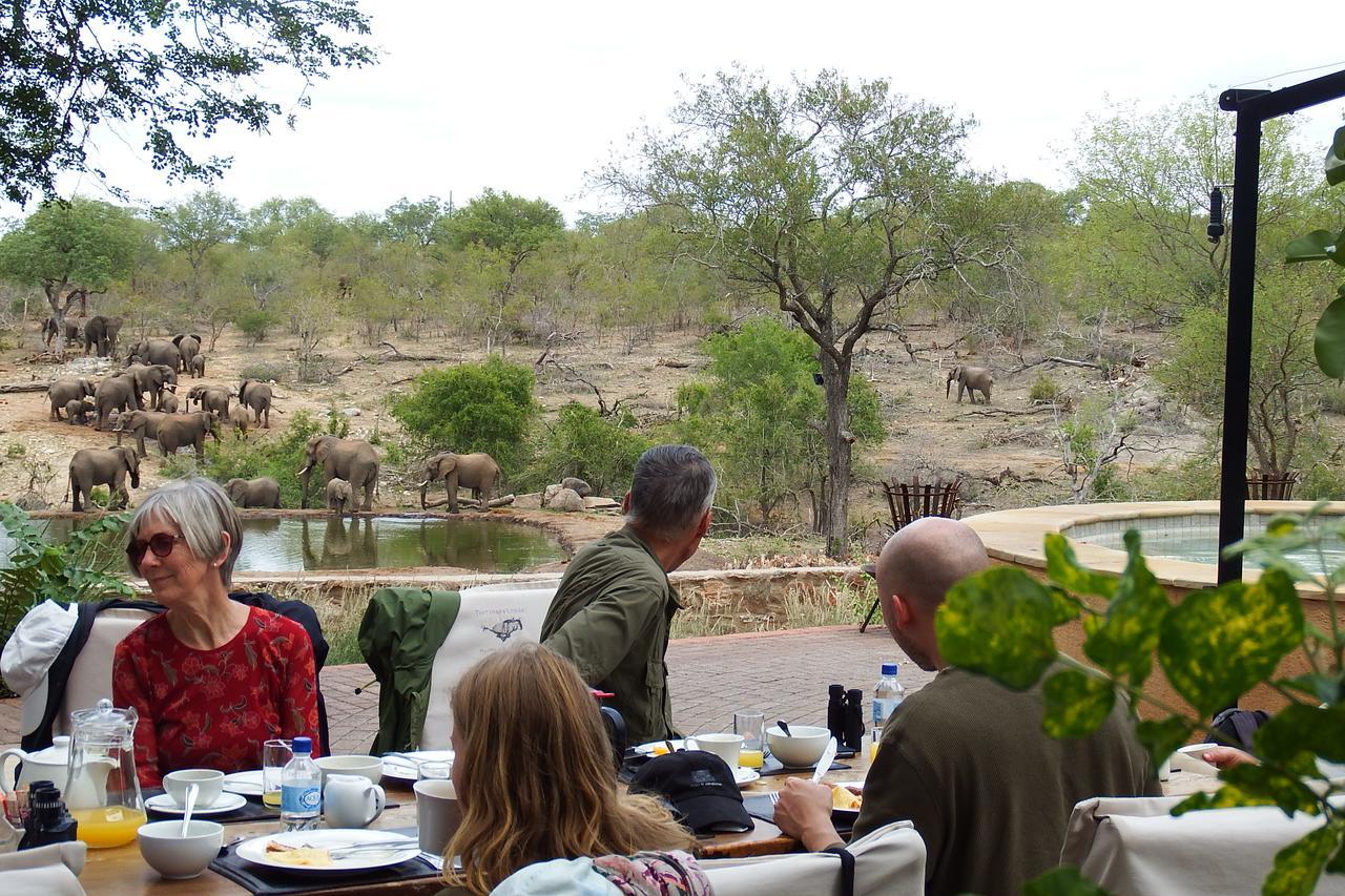Villa Ndzuti Safari Camp à Réserve de Balule Extérieur photo